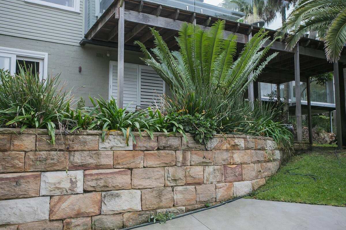 Curved sandstone block garden wall with cycads and lush planting at Bilgola Beach