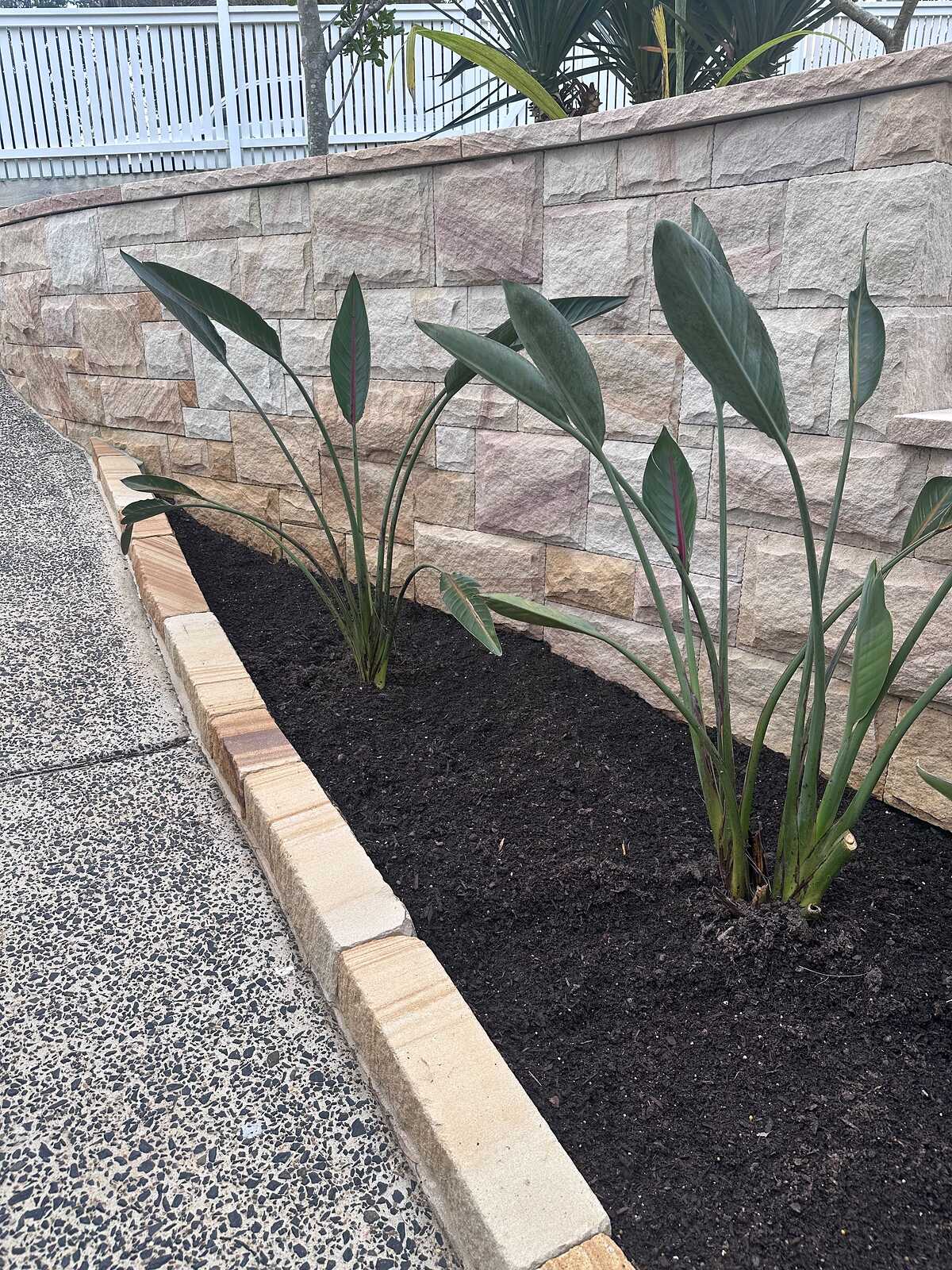 Curved sandstone ashlar wall behind a garden bed with sandstone edging beside an aggregate path