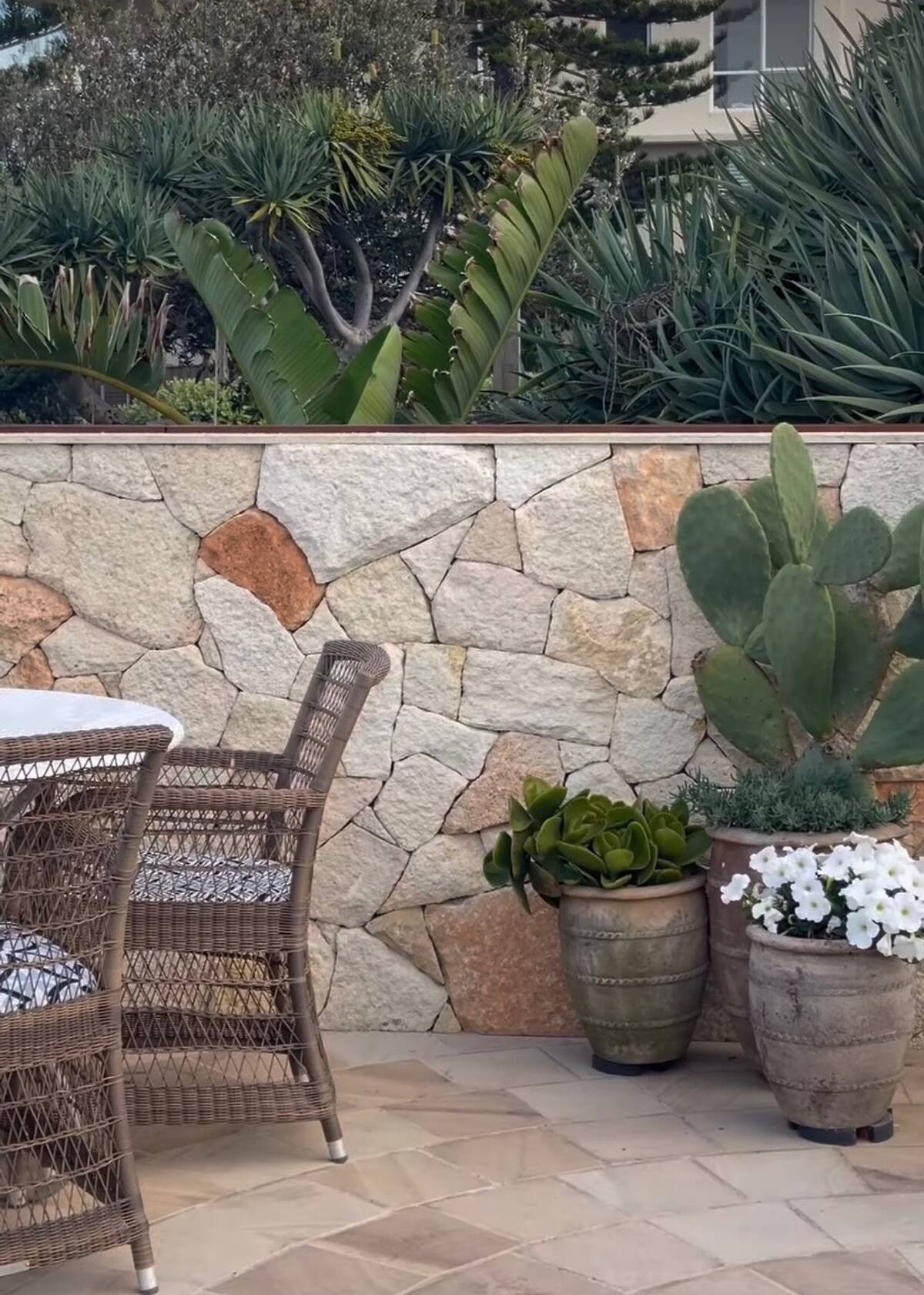 Courtyard patio with random sandstone wall cladding, sandstone paving and potted succulents